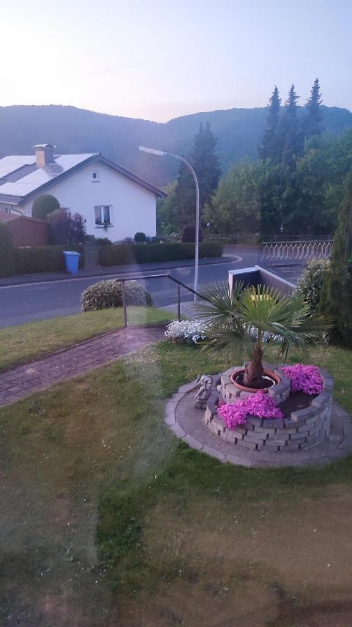 Kermeterblick Apartman Schleiden Kültér fotó